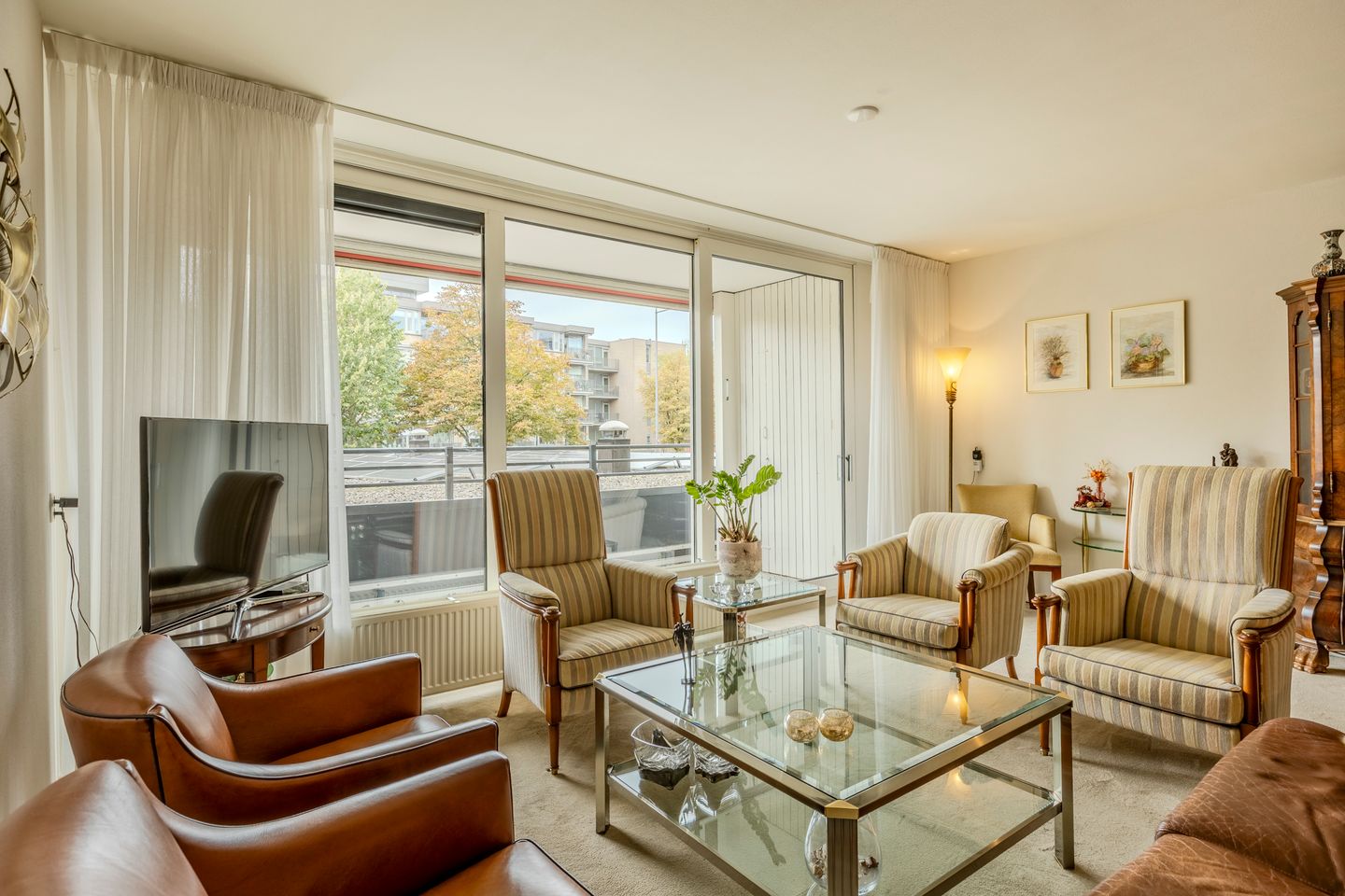 Foto 10 van Schapendries 101