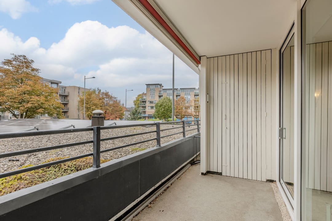 Foto 26 van Schapendries 101