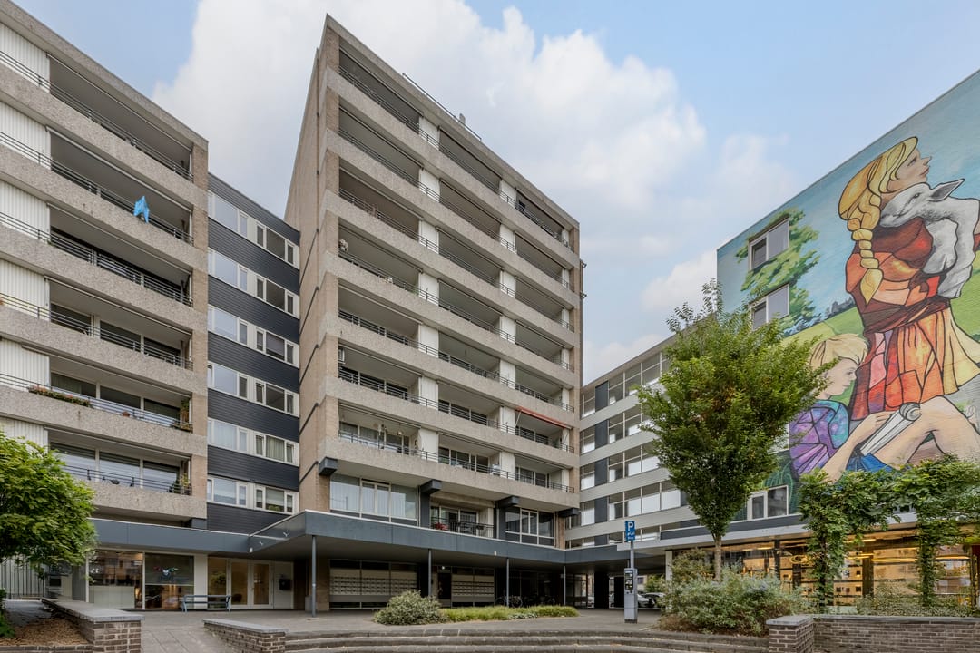 Foto 28 van Schapendries 101