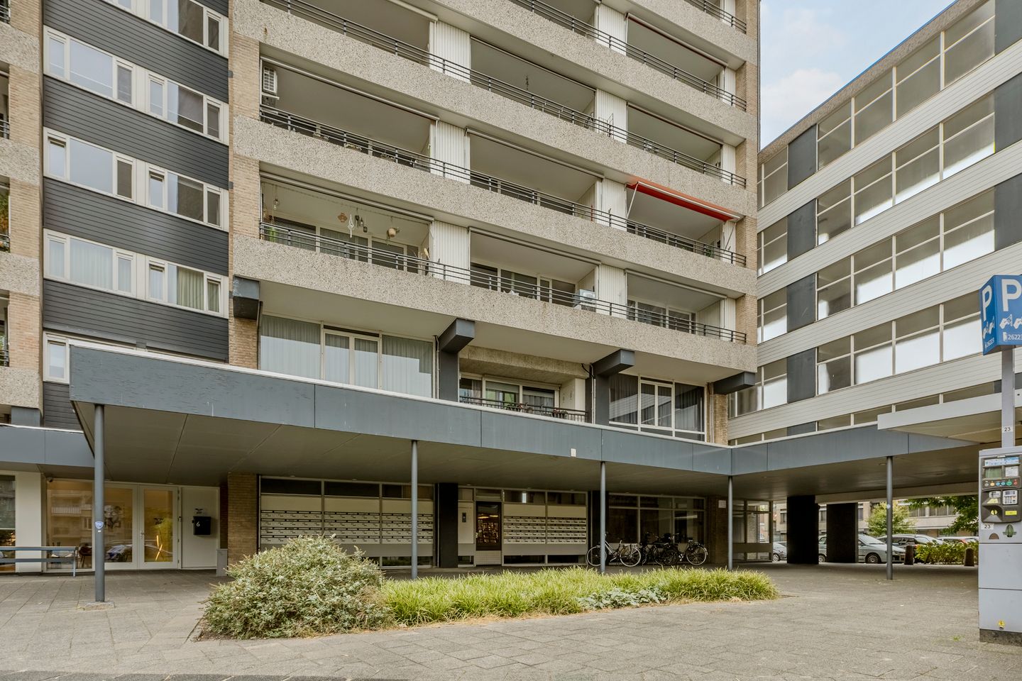 Foto 29 van Schapendries 101