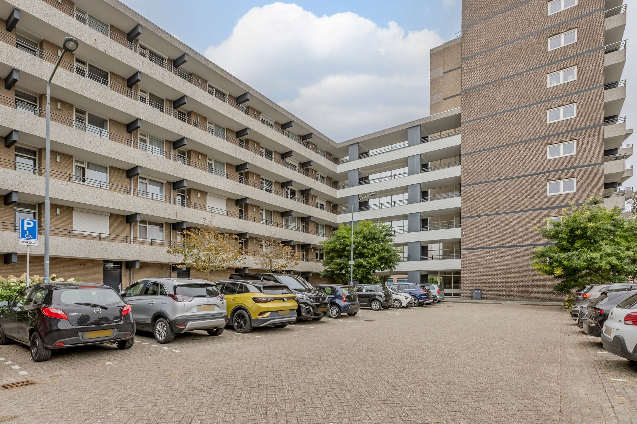 Foto 30 van Schapendries 101