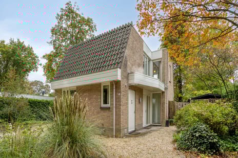 Salesdreef thumbnail