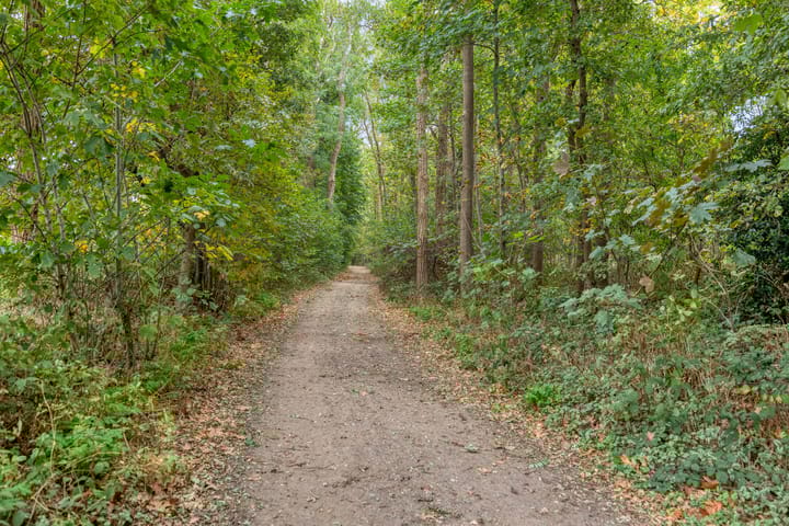 Photo 37 of Salesdreef 3-CWN03