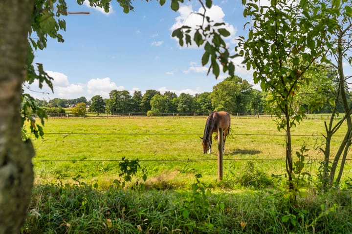 Foto 2 van Laagsestraat 21