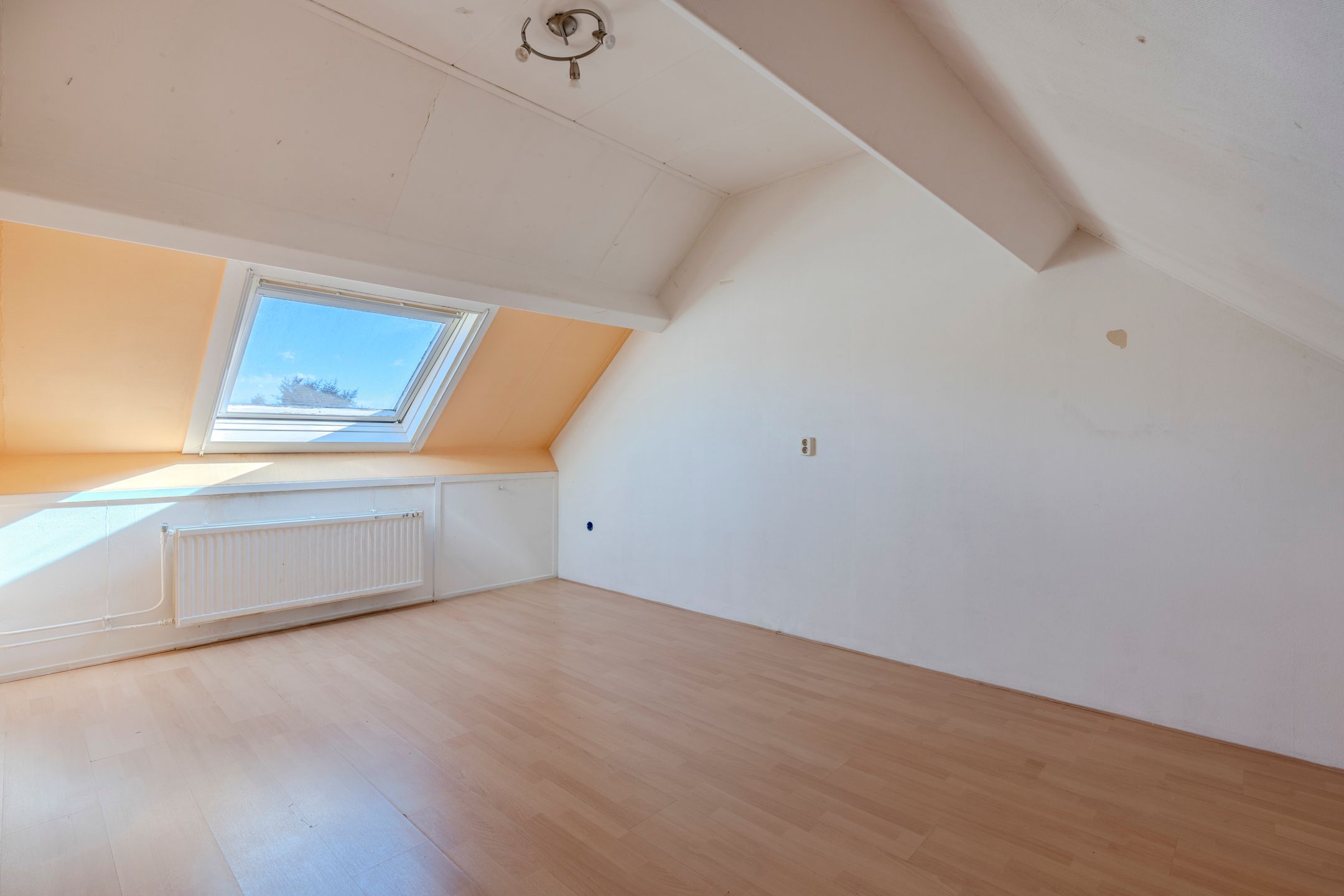 Photo 24 of Annenkamp 53