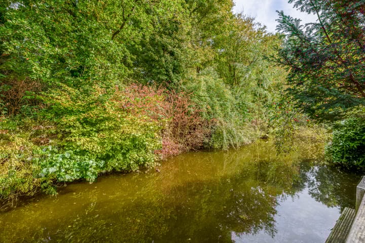 Foto 28 van Roos van Dekama erf 36