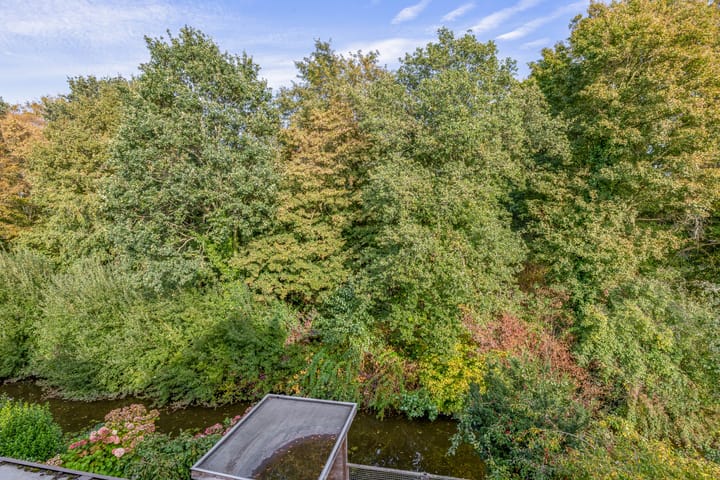 Foto 48 van Roos van Dekama erf 36