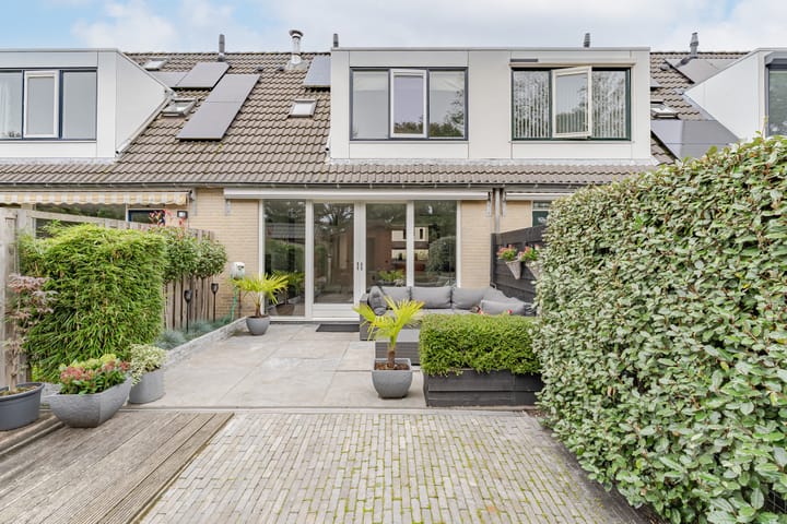 Foto 3 van Dorsvlegel 9