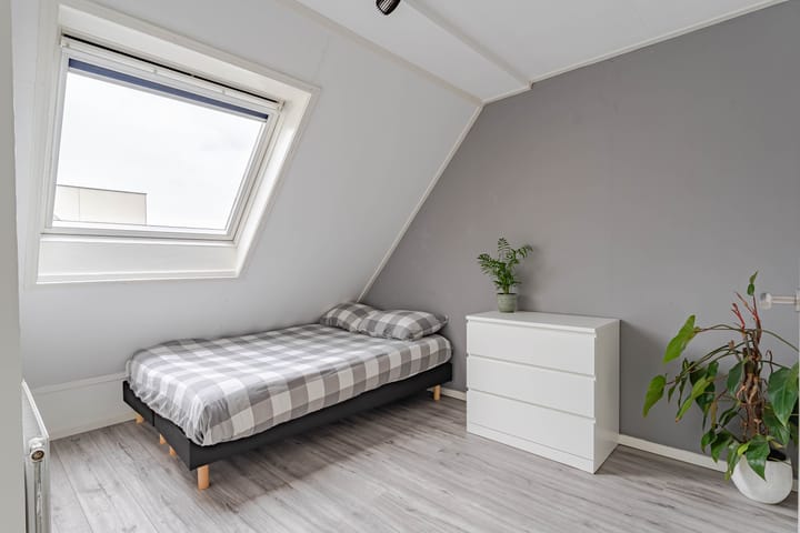 Foto 17 van Dorsvlegel 9