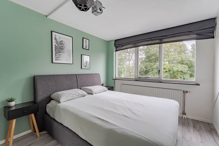 Foto 22 van Dorsvlegel 9