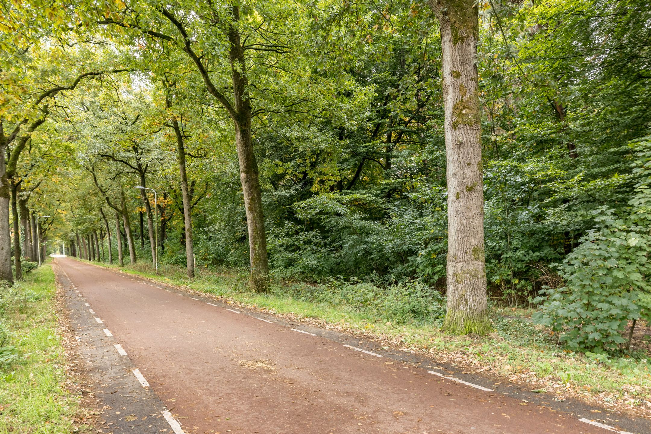 Foto 33 van Delfgauwstraat 22