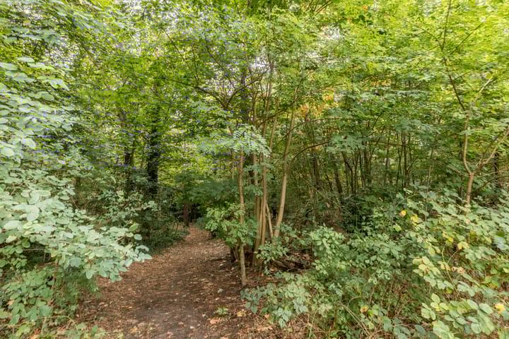 Foto 34 van Delfgauwstraat 22