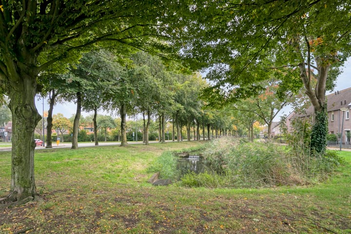 Photo 33 of Krommebeemd 10