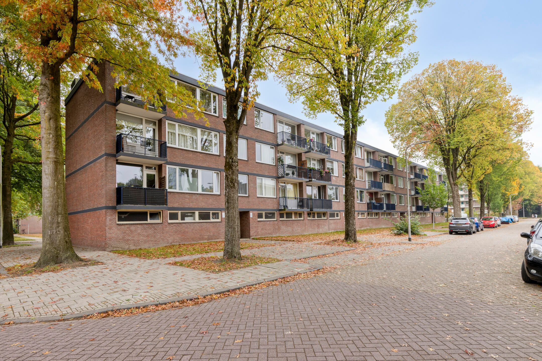 Foto 24 van Mangrovestraat 13