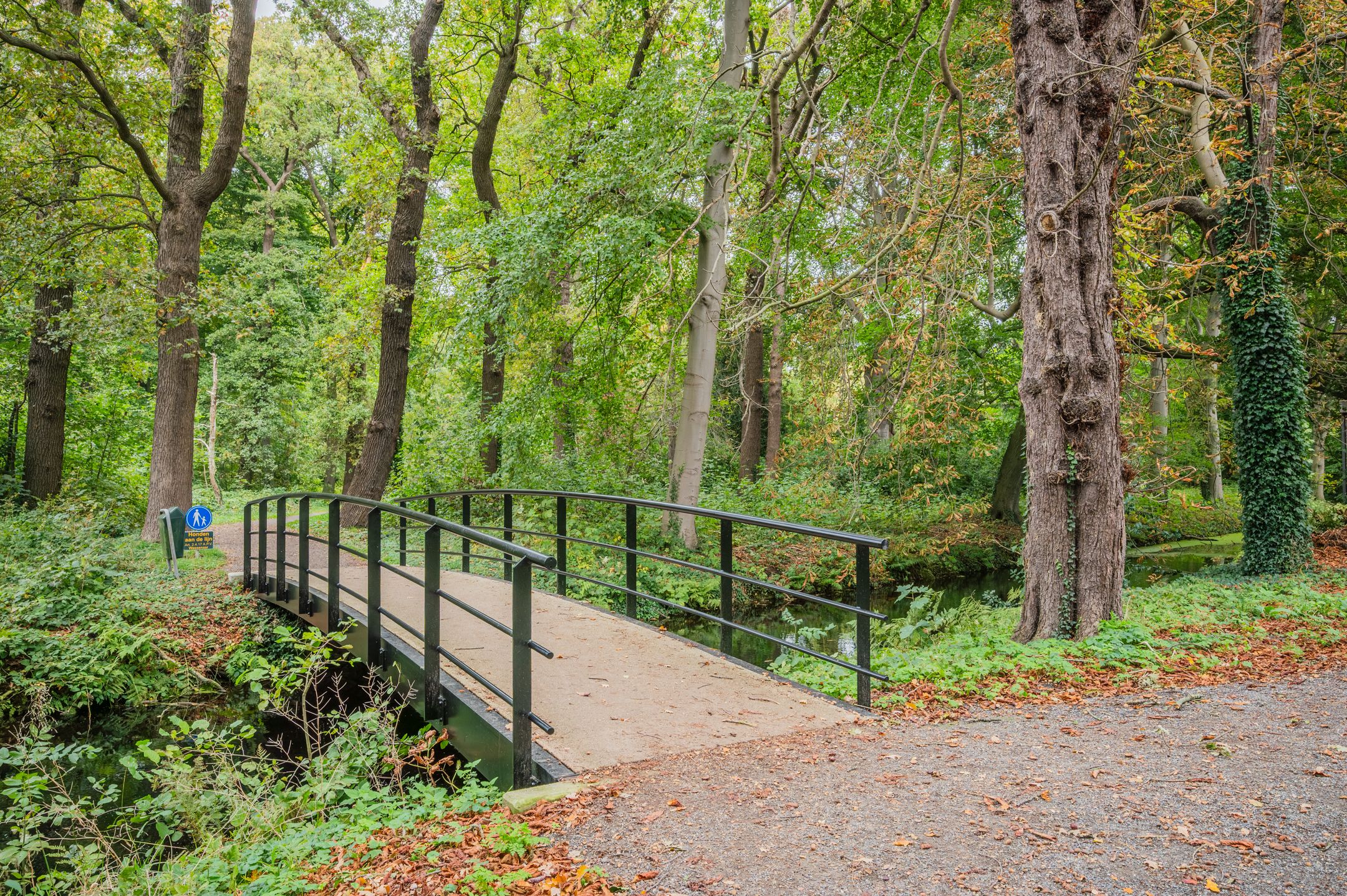 Foto 39 van Floris Arntzeniusplein 30