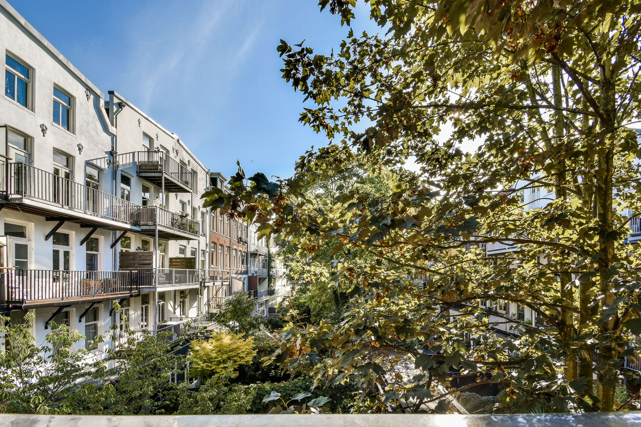 Foto 12 van Eerste Hugo de Grootstraat 3-2