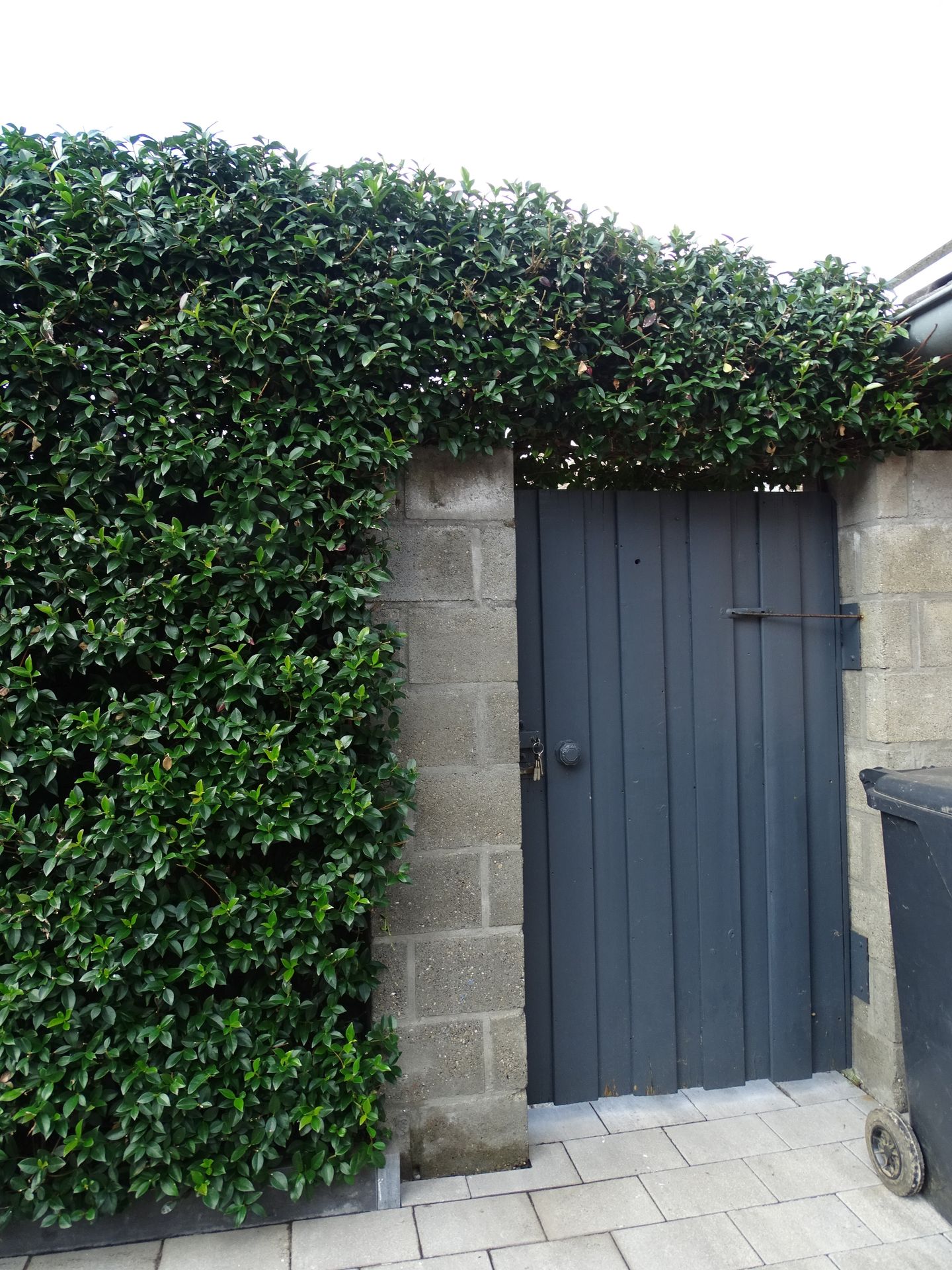 Foto 25 van Schuttersdreef 3