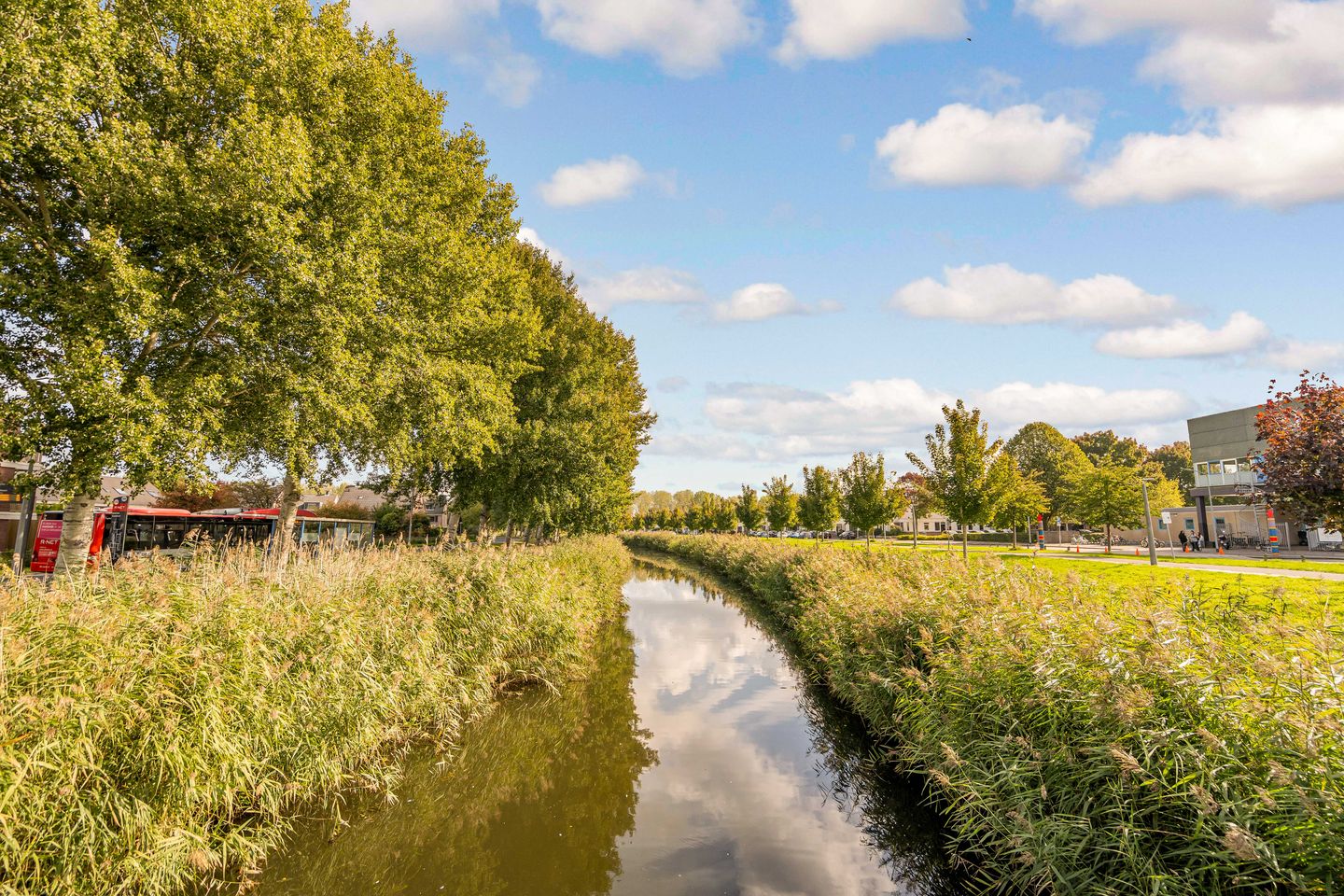 Foto 40 van Wisentstraat 5