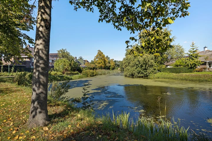 Foto 4 van Burgemeester Schönfeldplein 31-A1