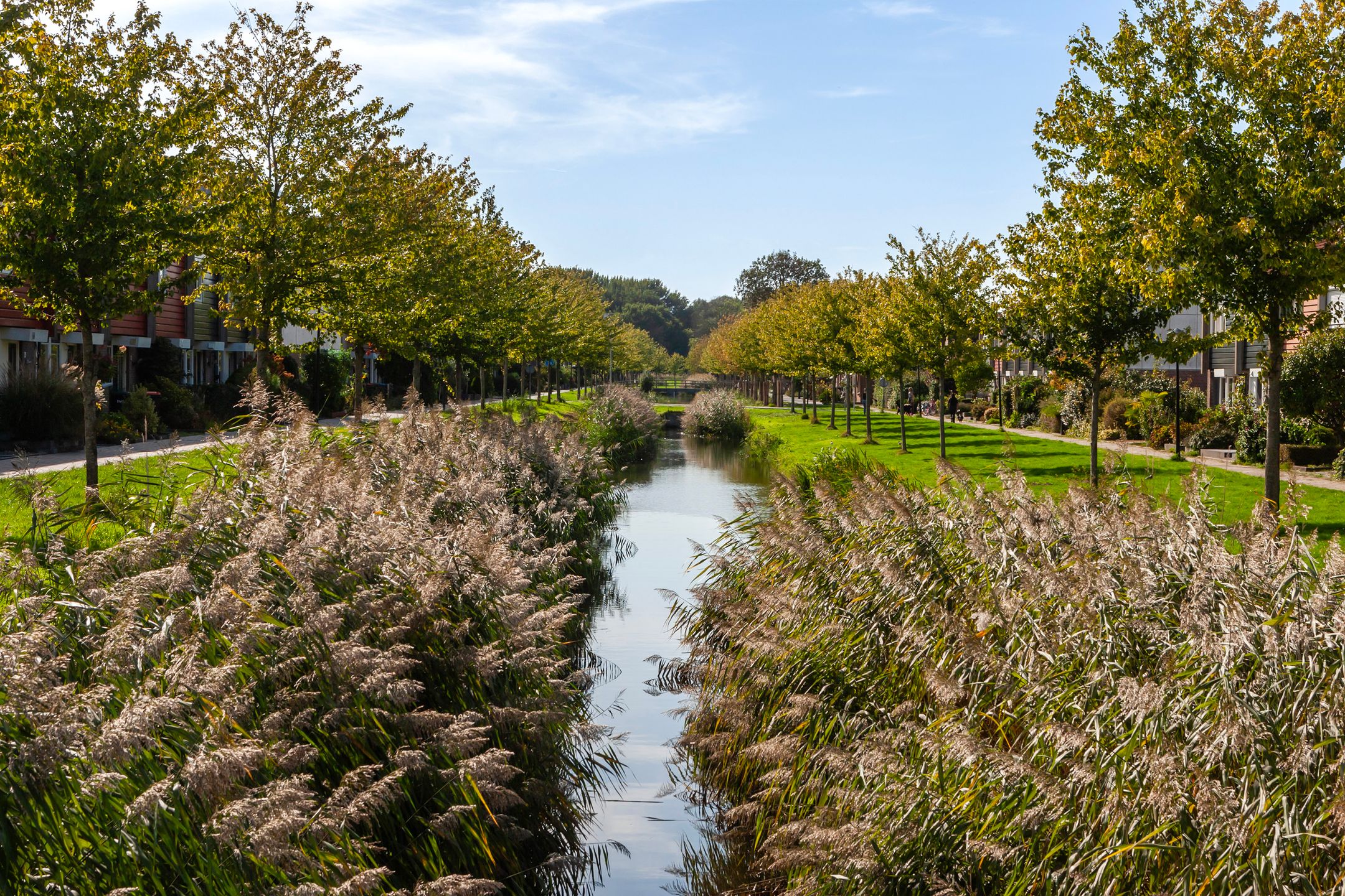 Foto 30 van Brahmsstraat 50