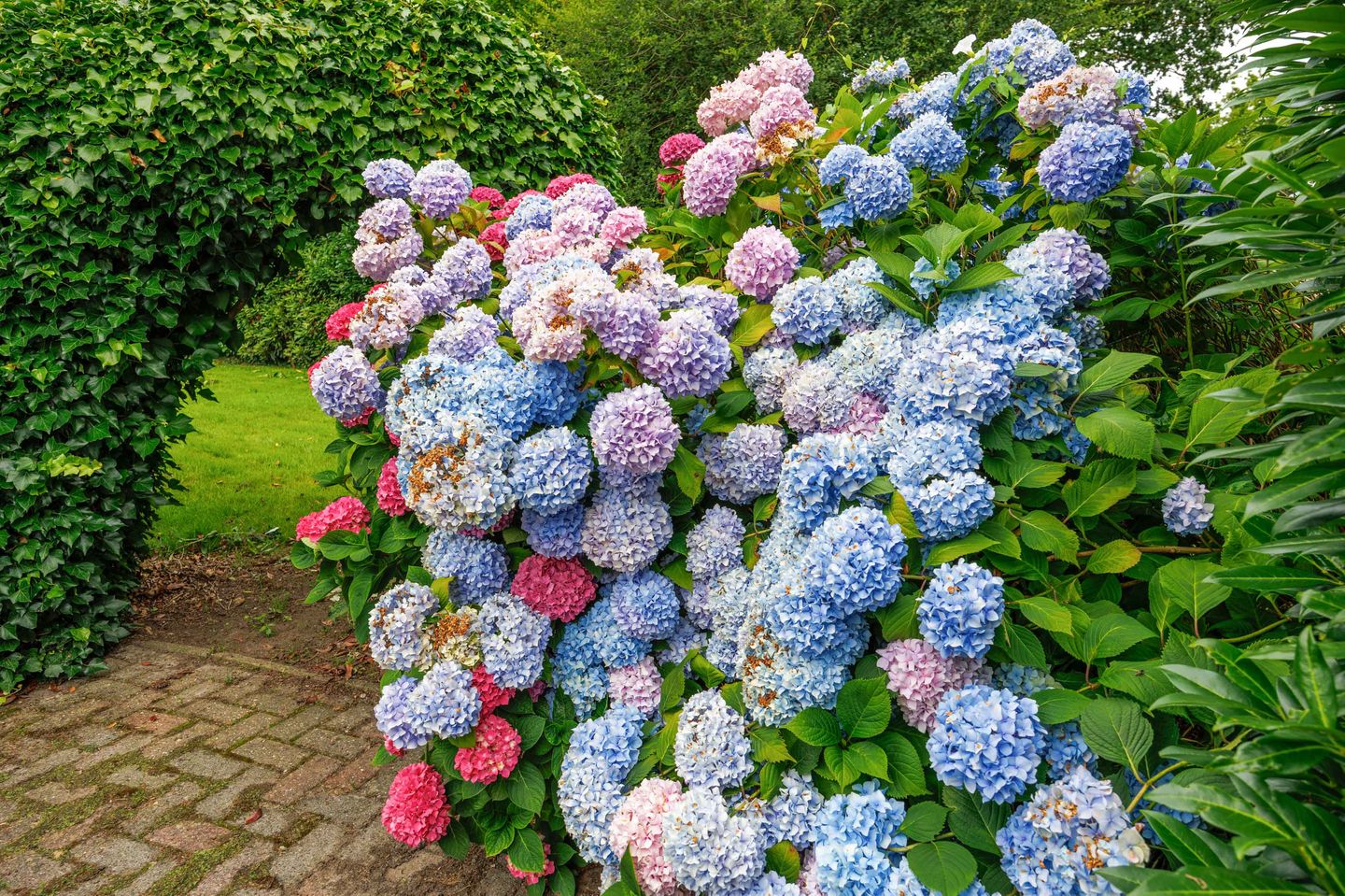 Foto 25 van Kerkstraat 18