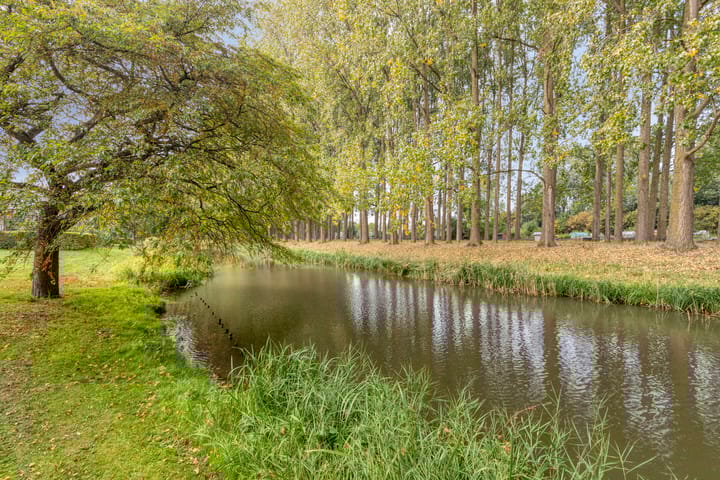 Photo 3 of Duivensteen 41