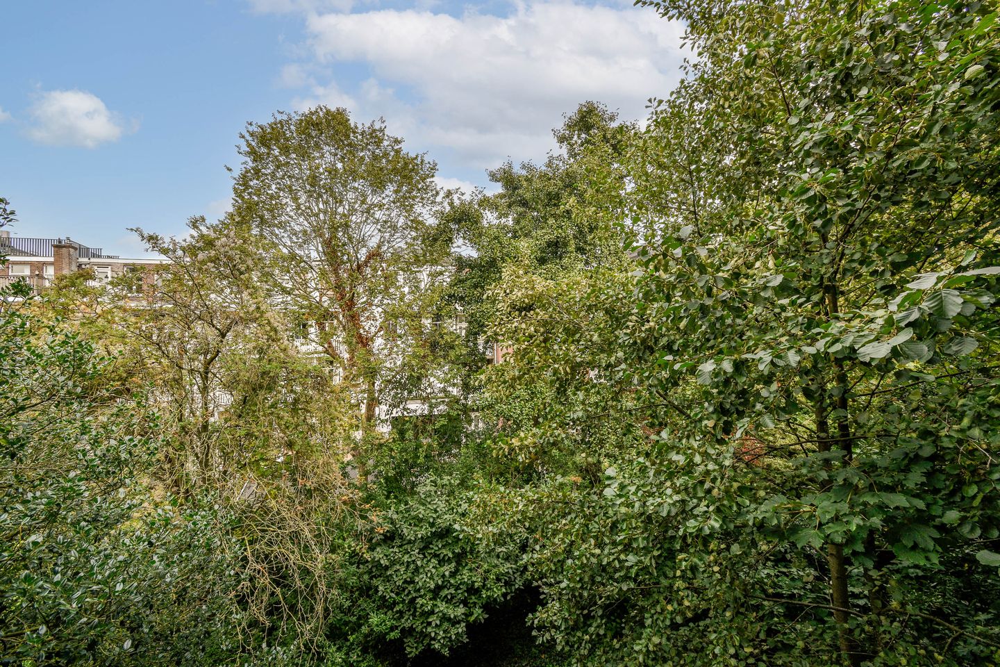 Photo 25 of Tweede Oosterparkstraat 155-B