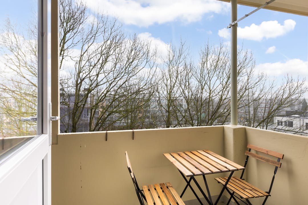 Foto 8 van Rooseveltlaan 658