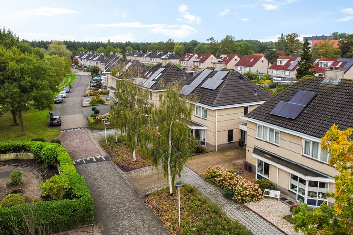 Foto 51 van Sponturf 4