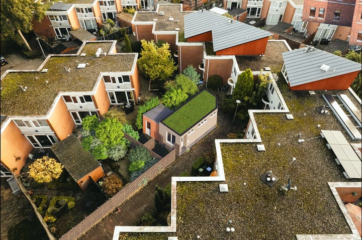 Photo 2 of Vlierpad 2