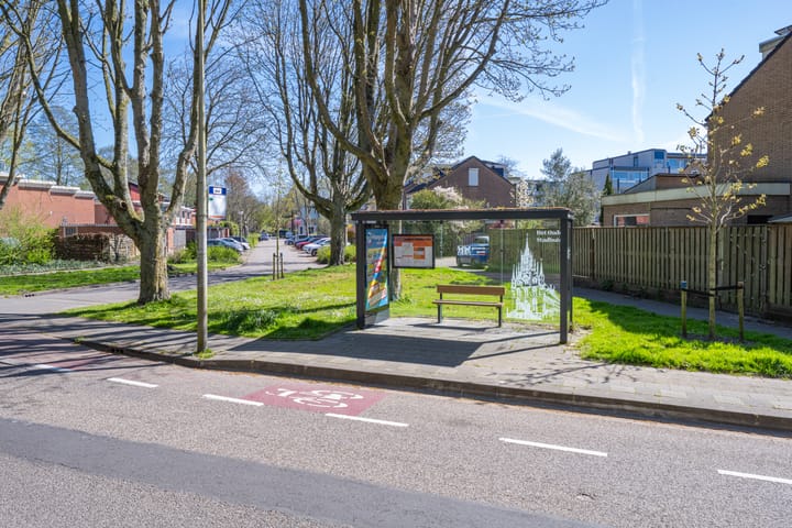 Foto 19 van Vlierpad 2