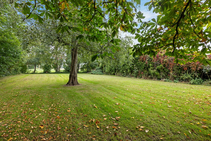 Photo 2 of Tuinbouwweg 45