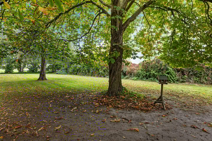 Photo 3 of Tuinbouwweg 45