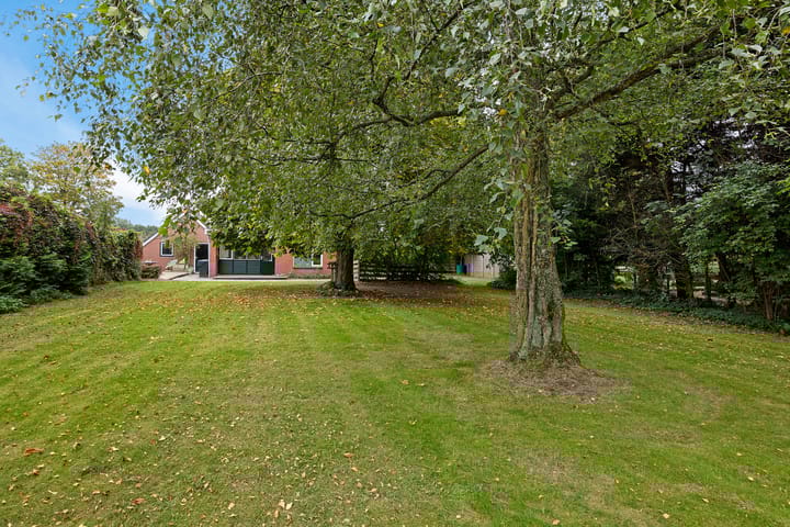 Photo 11 of Tuinbouwweg 45