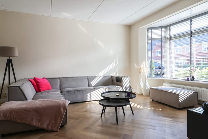 Foto 9 van Hanerak 9