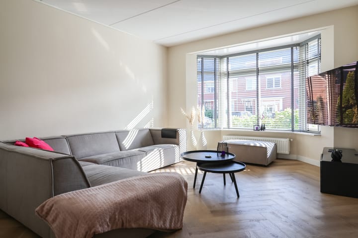 Foto 10 van Hanerak 9