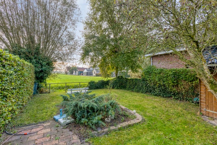 Photo 4 of Marwei 42