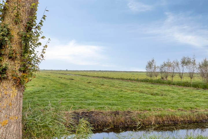 Photo 23 of Marwei 42