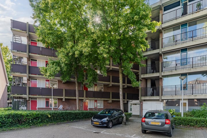 Photo 16 of Pascalerf 58