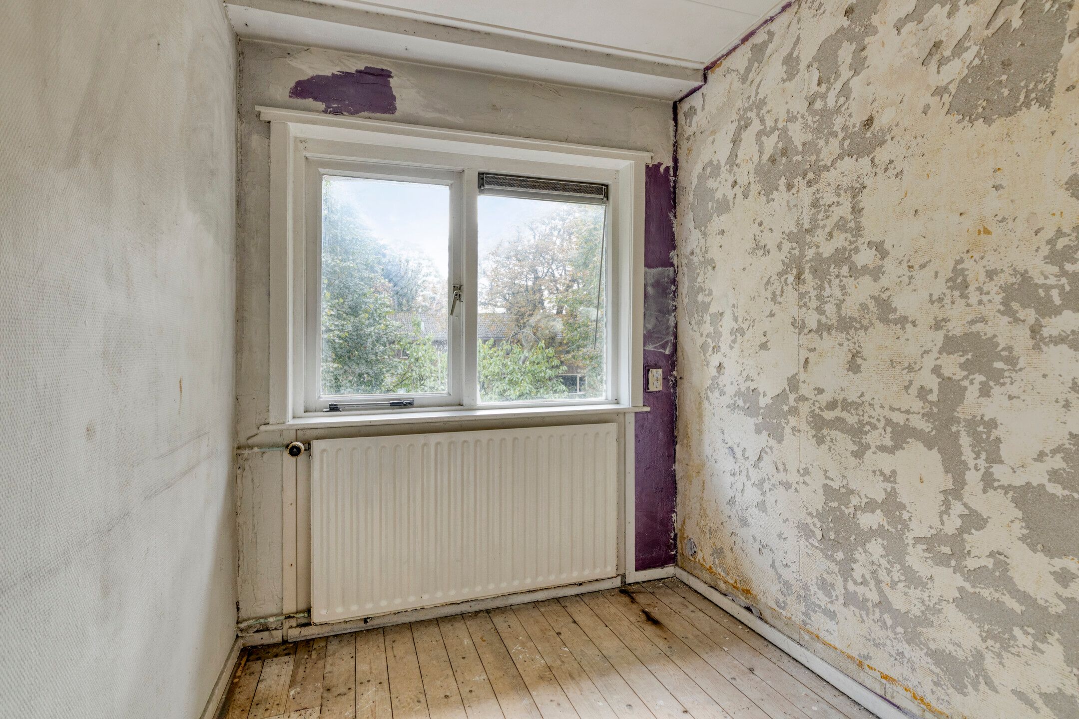 Foto 24 van Groenezoom 33