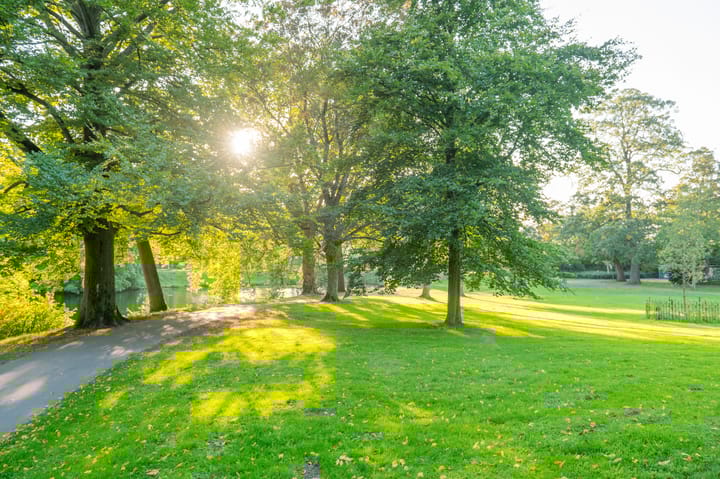 Photo 39 of Binnensingel 20