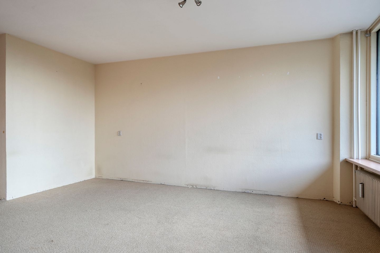 Foto 10 van Zangvogelweg 110