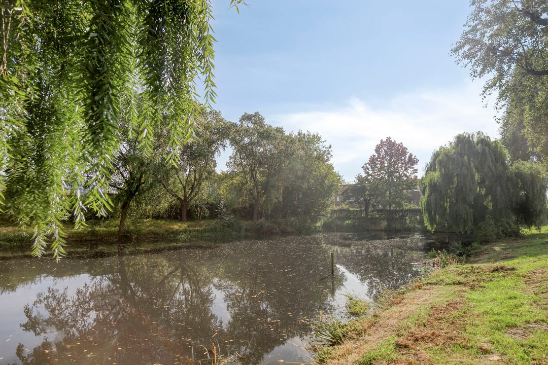 Foto 23 van Zangvogelweg 110