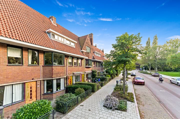 Foto 3 van Westplantsoen 138