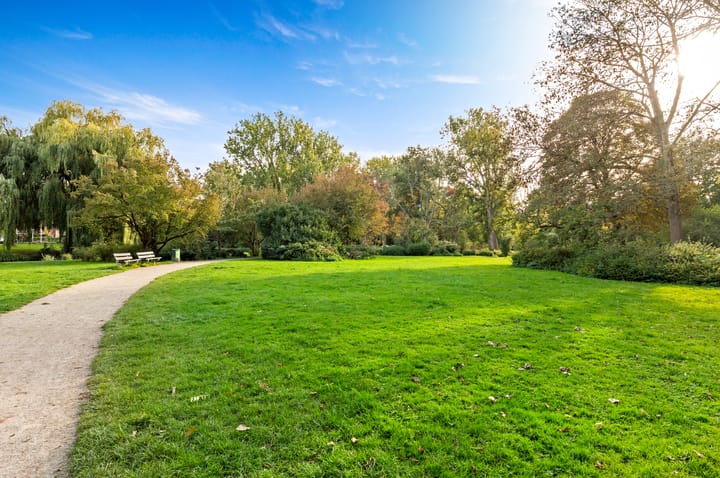 Foto 32 van Westplantsoen 138