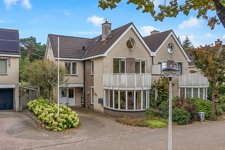 Willem Coxlaan thumbnail