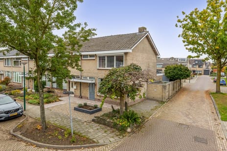 Van Drielstraat thumbnail