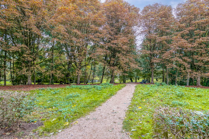 Foto 29 van Gulikstraat 40