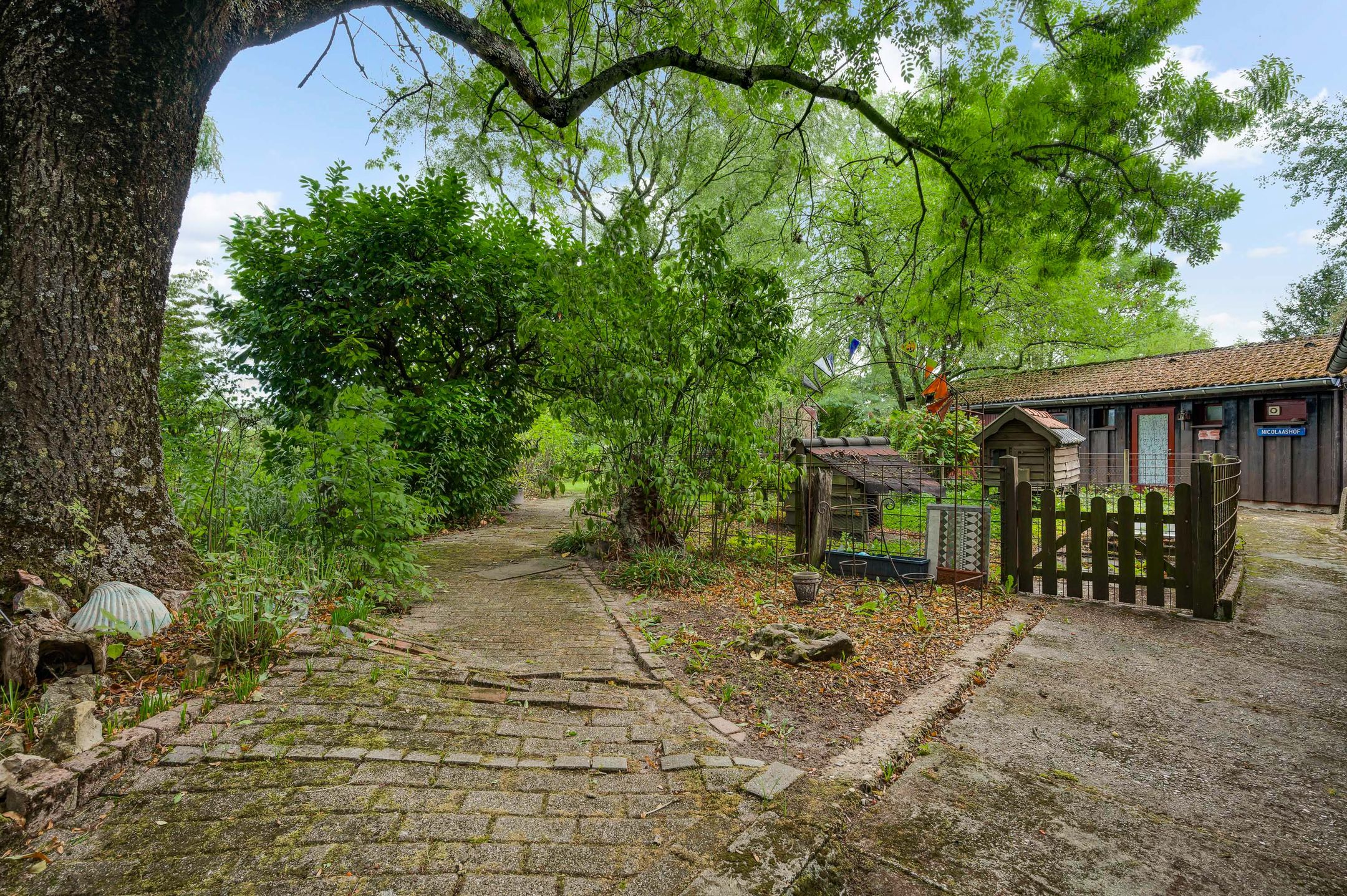 Foto 42 van Heide 40