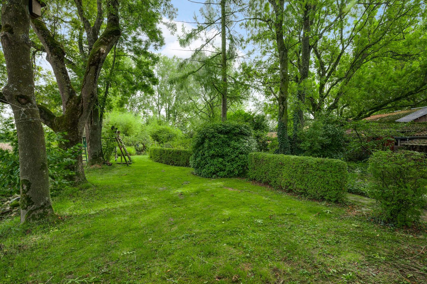 Foto 49 van Heide 40